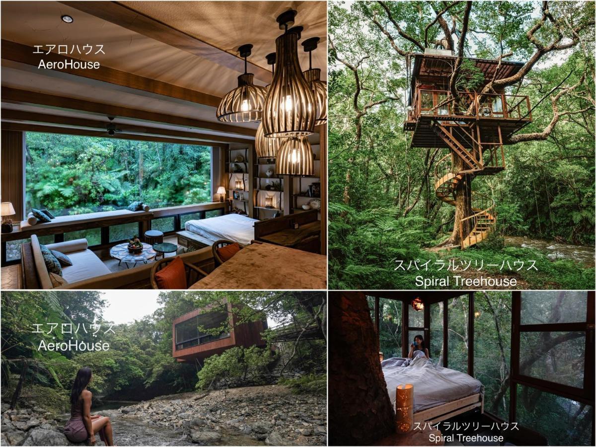 ناغُ Treeful Treehouse Sustainable Resort المظهر الخارجي الصورة