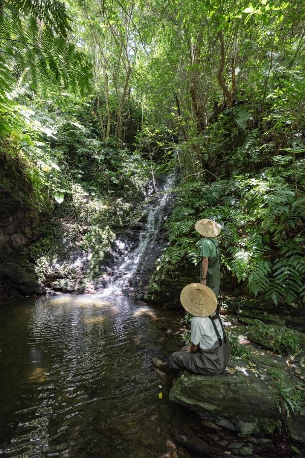 ناغُ Treeful Treehouse Sustainable Resort المظهر الخارجي الصورة